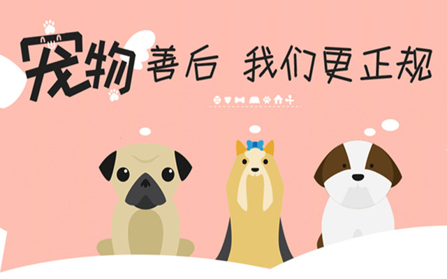 宣传海报