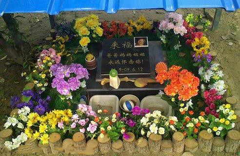 宠物墓地6号