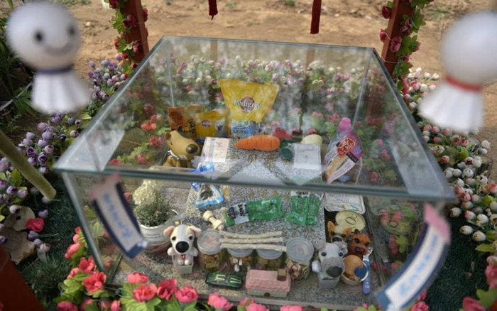 宠物墓地样式2