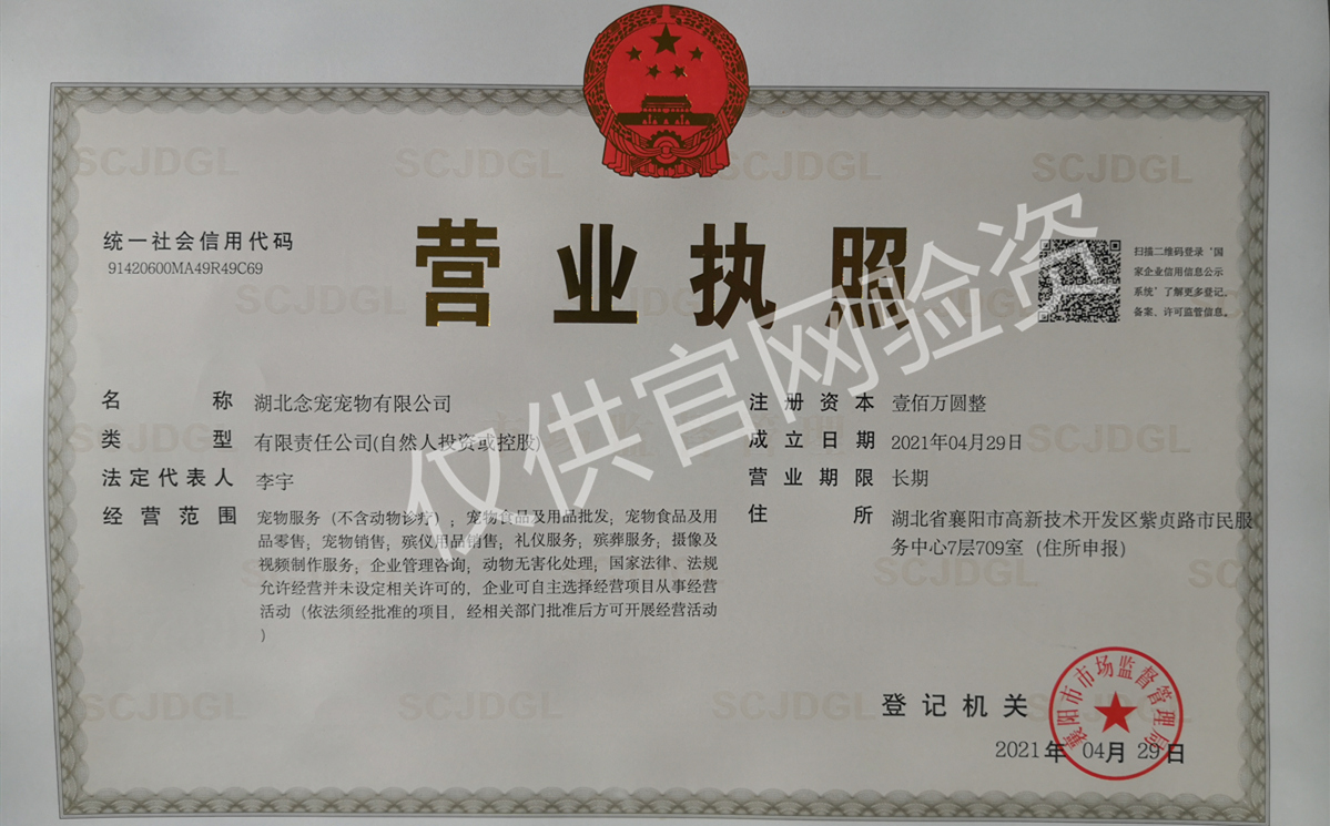 公司营业执照