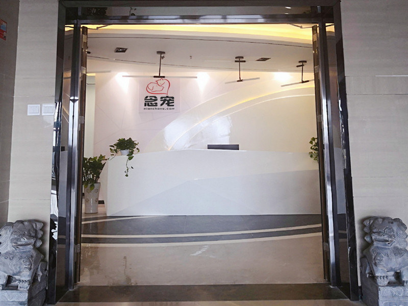 运营总部办公环境