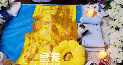 猫咪花呗告别会