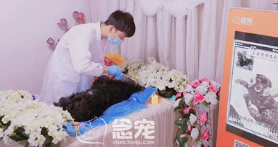 狗嘿嘿告别会